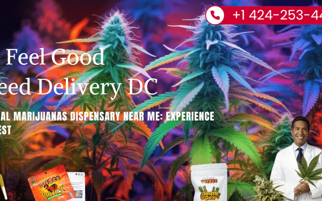 Medical Marijuanas Dispensary Near Me: Experience the Best with Dr Feel Good Weed Delivery DC