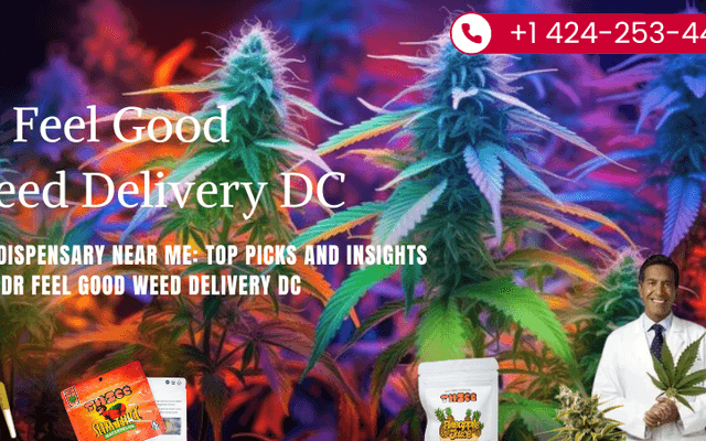 Mint Dispensary Near Me: Top Picks and Insights from Dr Feel Good Weed Delivery DC
