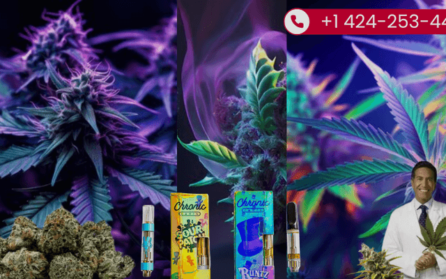 Top Rated Dispensaries Near Me: Why Dr Feel Good Weed Delivery DC Stands Out