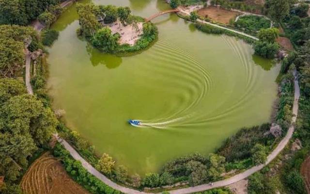 Exploring Gatwala Commercial Hub and Gutwala Park Faisalabad