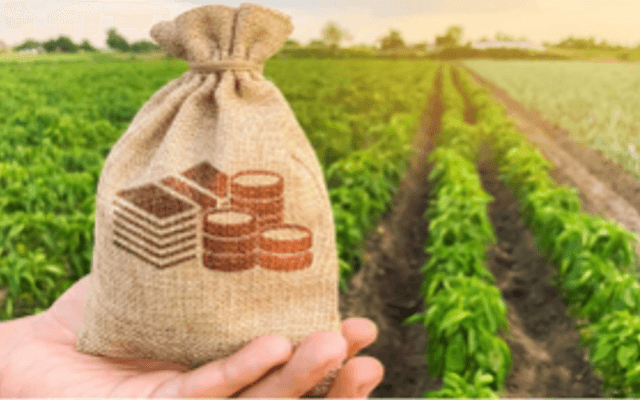 Why Faisalabad Is Ideal for Agriculture Land Investment