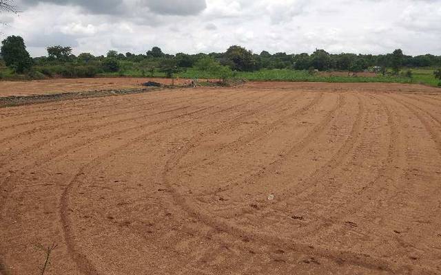 Prime Agricultural Land Investment in Faisalabad | Fertile Farmland for Sale