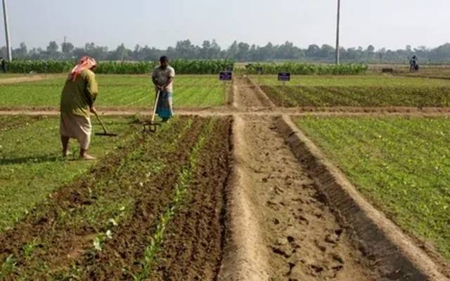 Faisalabad Real Estate Guide – Plots, Commercial Property & Agriculture Land for Sale