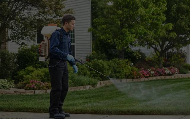 Pest Control Companies Mississauga: Ensuring a Pest-Free Environment