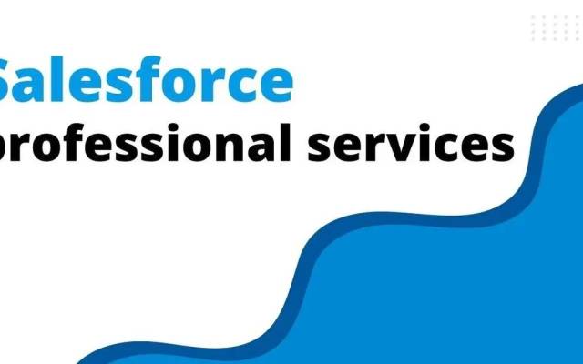 Maximizing Professional Services Success With Salesforce: A Strategic Guide
360degreecloud Salesforce