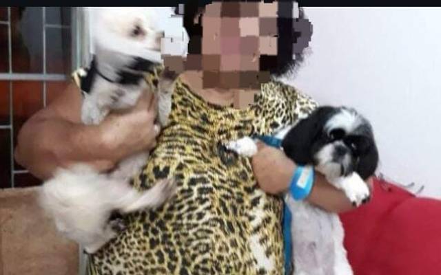  Idosa Morre Após Ser Atropelada Por Micro-Ônibus Escolar Em Humaitá 