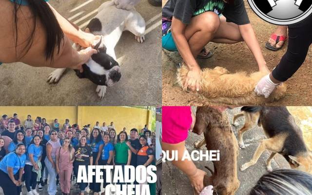 Agentes Comunitários de Saúde denunciam desvio de função em Humaitá