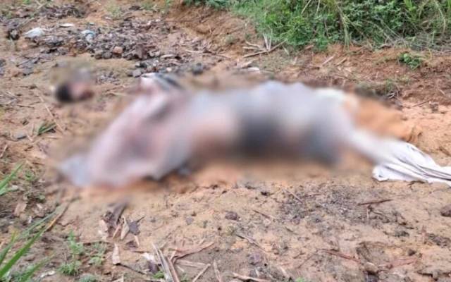 Assassino decapita vítima e deixa partes do corpo em ramal no Tarumã Manaus; imagens fortes