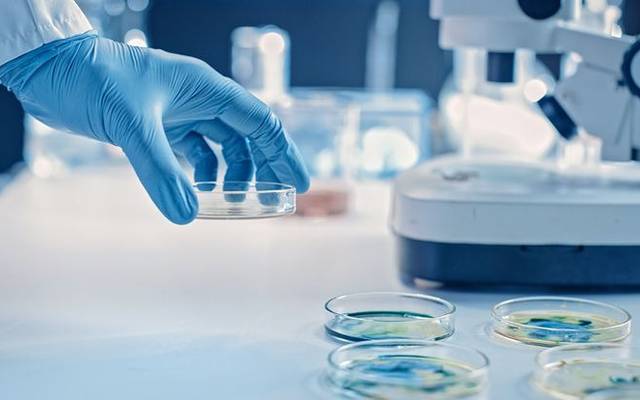 Healthy Hands And Skin: The Importance Of Good Hygiene            