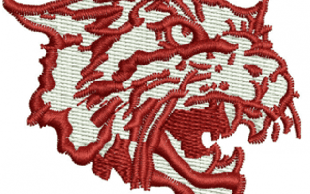 What Is Wild Cat Embroidery? Meaning, Styles, and Design Uses