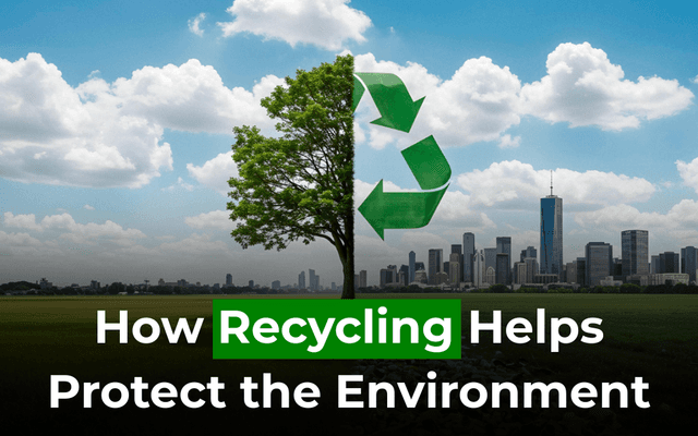 How Recycling Helps Protect the Environment