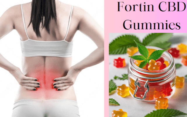 Are Tranquil Vibe CBD Gummies Safe and Effective? Full Review