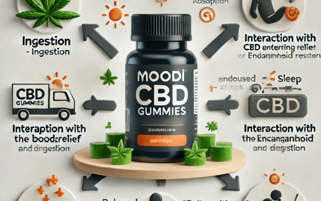 Moodi Premium CBD Capsules for Anxiety, Sleep & Pain Support