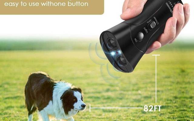 BarxBuddy Trainer Reviews: Is It A Scam?