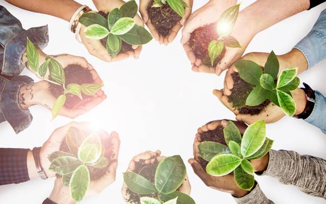 O Caminho para a Sustentabilidade em Santa Catarina