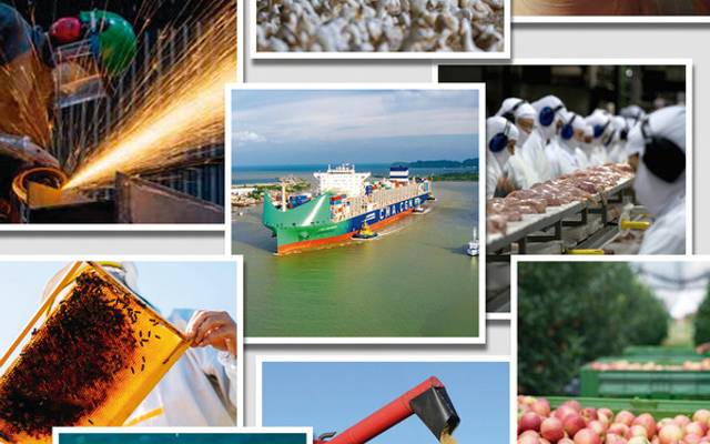 A diversidade da economia catarinense: Um mosaico de oportunidades