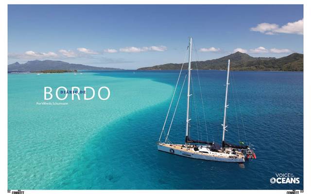 Do sonho ao propósito - O CONSTANTE DESAFIO DE EMPREENDER - Vilfredo Schurmann