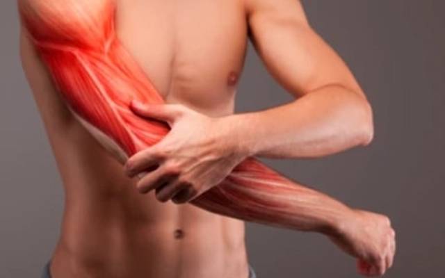 Signal Relief Patch: Benefits, Side Effects & User Reviews