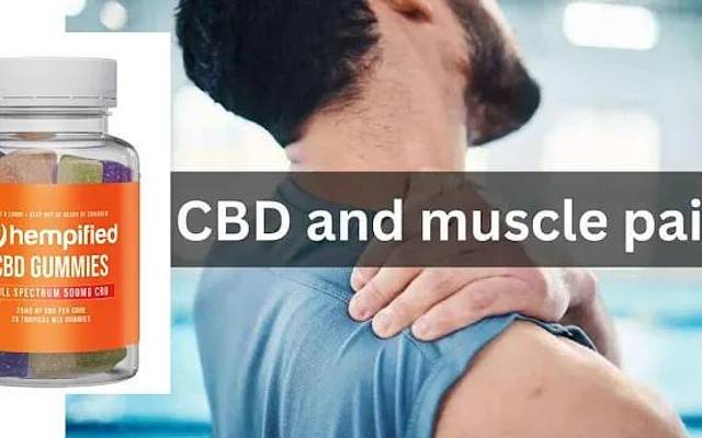 Hempified CBD Gummies Where to Buy and Price for Sale Deal