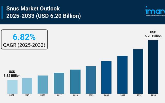 Snus Market Trends, Share, and Growth Report 2025-2033