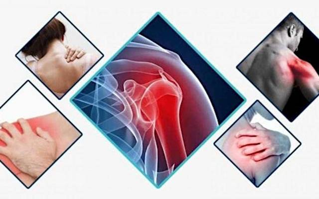 

Serenity Garden CBD Gummies Reviews-Powerful Pain Relief Gummies