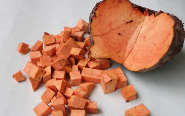 Discover the Power of Elephant Root Powder  South Africa’s Ancient Herbal Secret