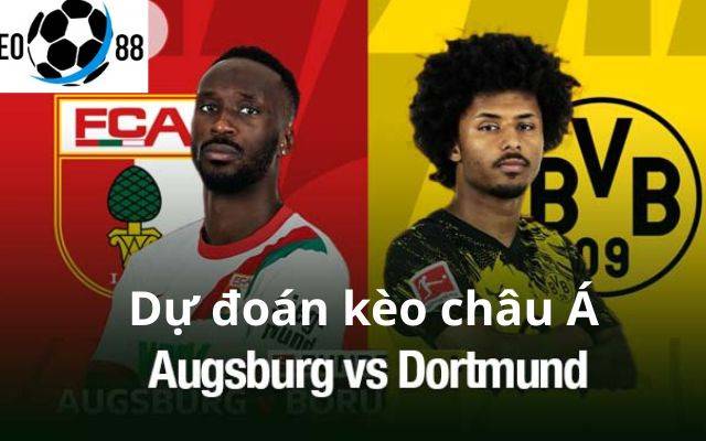 Phân Tích Sâu Sắc Trận Augsburg Vs Dortmund: Cuộc Chiến Sinh Tồn Tại WWK Arena Ngày 1/11