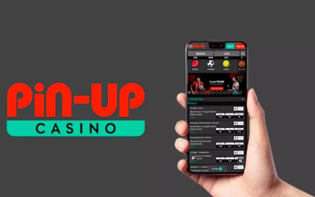 Pin Up Casino App Security and Data Protection Measures