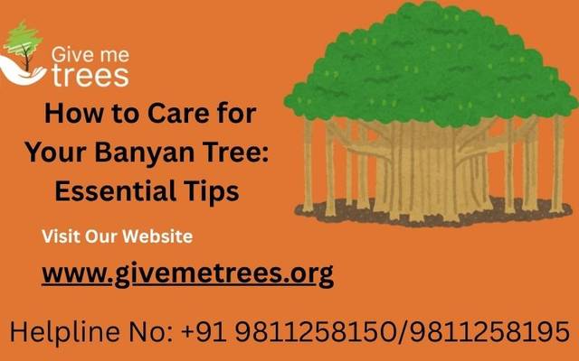 10 Things You Need to Know about Banyan Trees