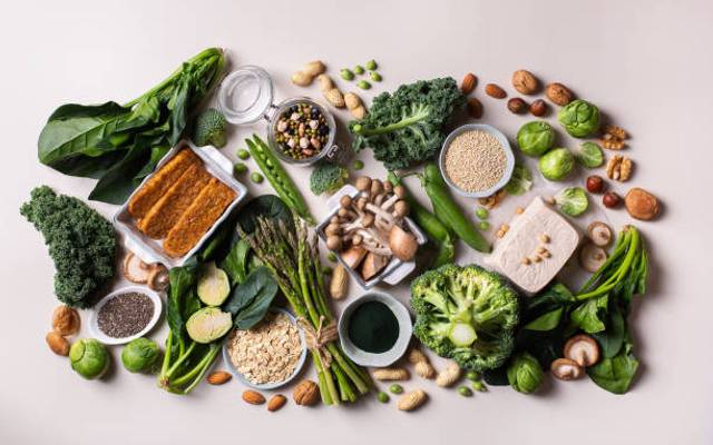 Japan Plant Based Protein Market Size, Growth, and Trends Forecast 2025-2033