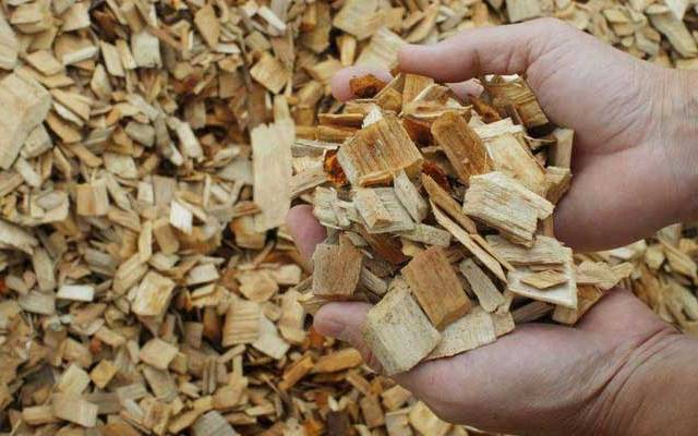 Japan Wood Pulp Market Size, Share, Growth, and Forecast 2025-2033