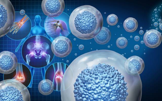 Japan Regenerative Medicine Market Report 2025 | Growth, Trends, and Demand Forecast by 2033