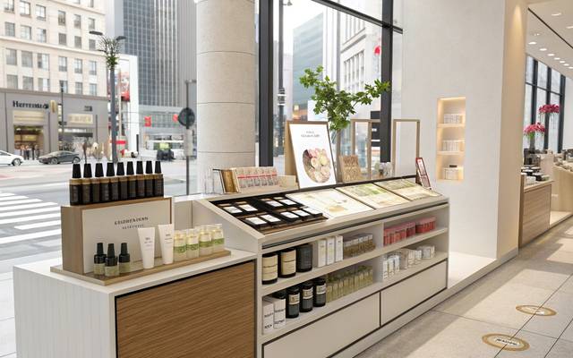 Japan Beauty and Personal Care Market Growth, Share, and Trends Report 2025-2033