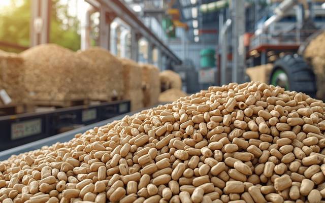 Japan Wood Pellet Market Size, Trends, and Growth Forecast 2025-2033