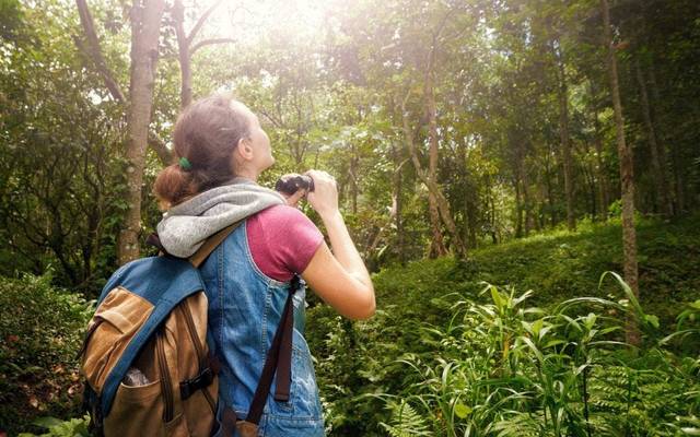 Japan Ecotourism Market Size, Share, Growth, and Forecast 2025-2033