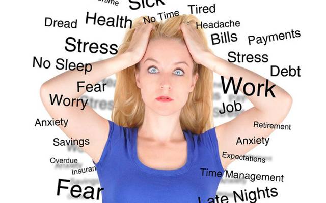 Via HEMP Gummies Top Brands Reviewed