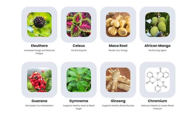 Sugar Defender Supplement: Benefits, Ingredients & Side Effects