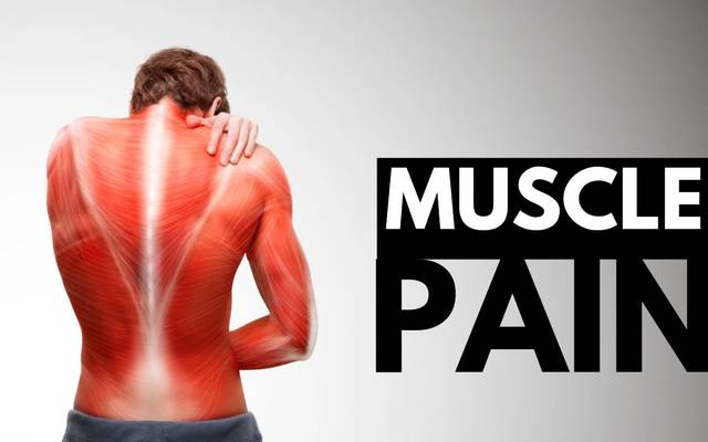 Dana Perino CBD Gummies How Dana Perino’s CBD Gummies Are Quietly Revolutionizing Natural Wellness for Americans Over 40 Batt