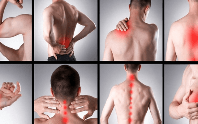 The Science Behind Dana Perino CBD Gummies: How This Full-Spectrum Hemp Product Supports Pain Relief, Better Sleep, and a Bal