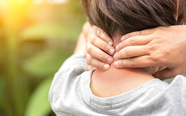 Dana Perino CBD Gummies Are Helping Americans Live Pain-Free, Stress-Free Lives Without Harmful Medications