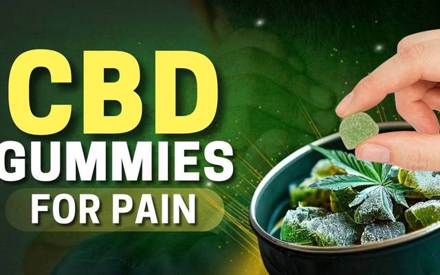 Dana Perino CBD Gummies