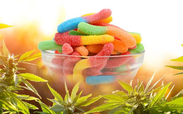Highline Wellness CBD Gummies Are the Best Choice for Natural Anxiety and Sleep Support