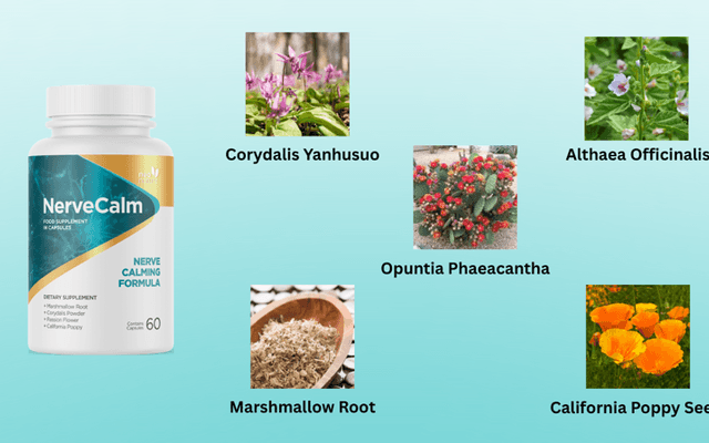 Nerve Calm supplement Support Your Nervous System the Smart Way