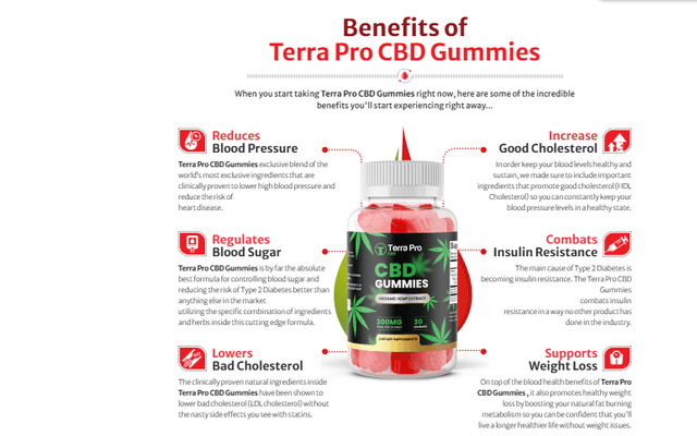 Terra Pro CBD Gummies Review 2025: Is It Legit Or A Scam?