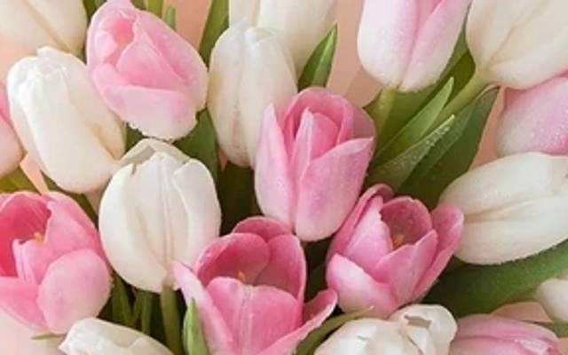 The Art of Flower Bouquets: Types and Significance

