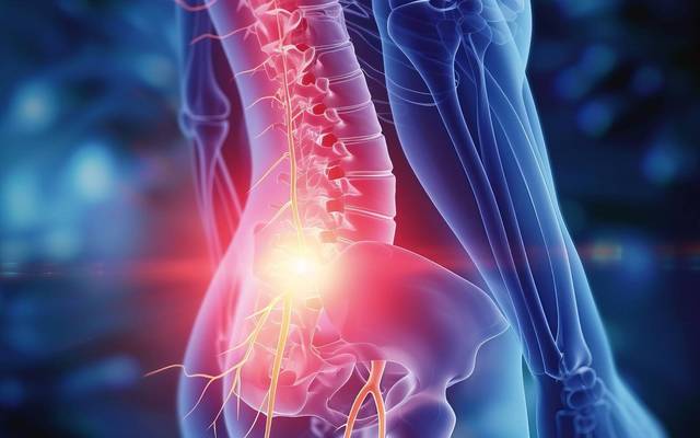 EverGreen Farms CBD Gummies (Consumer Report 2025)