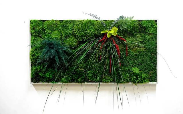 Mooswand kaufen – Natürliche Eleganz für Innenräume