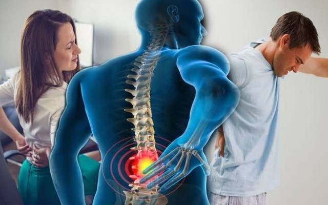 Haribo CBD Gummies CBD Meets Classic™: Vegan, Gluten-Free, and Lab-Tested for Purity