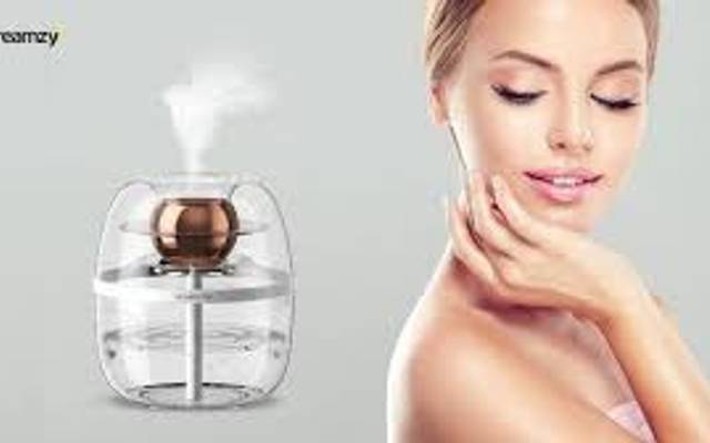 Dreamzy Humidifier Reviews