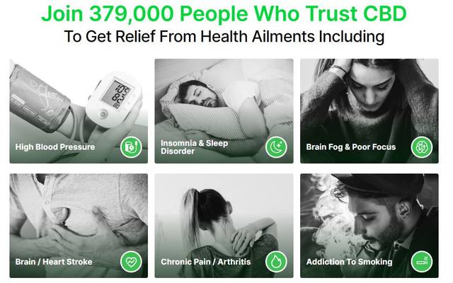 Via Hemp Gummies New Zealand Solution for Natural Stress and Anxiety Relief